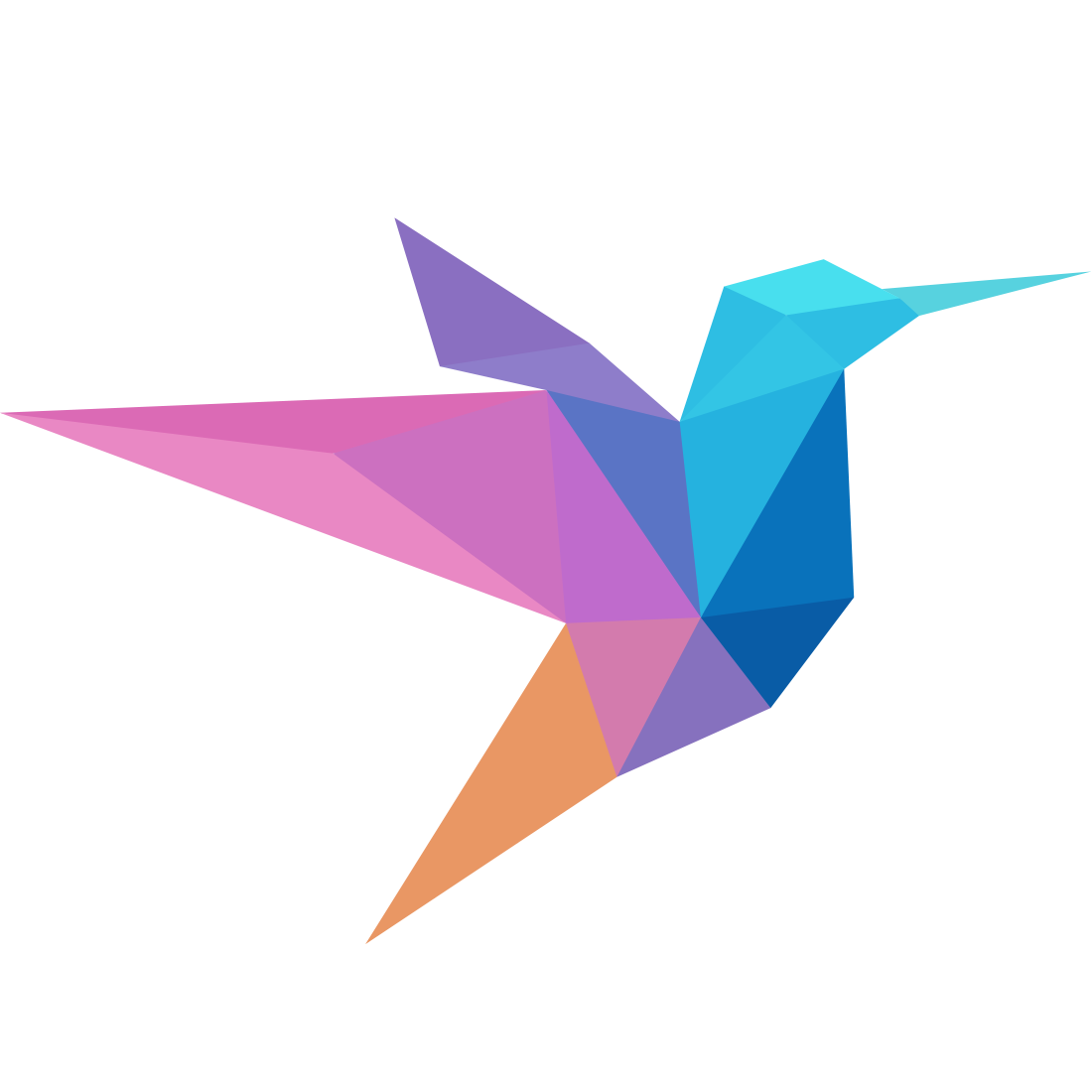 Exposia bird